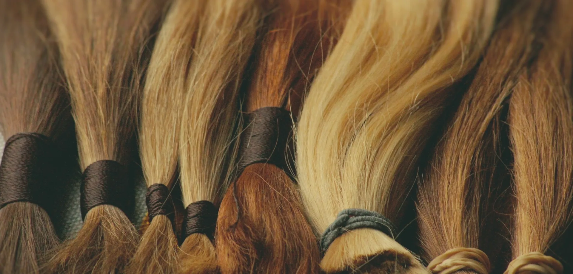 Die dresdner Haarwerkstatt