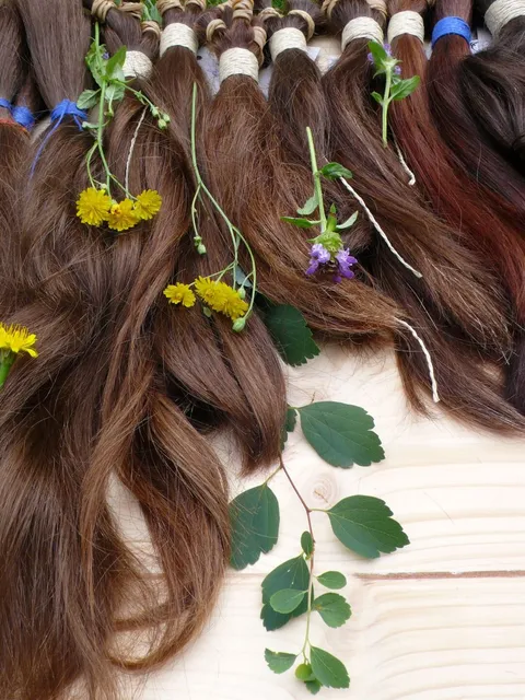 Haarspende – abgeschnittener Zopf
